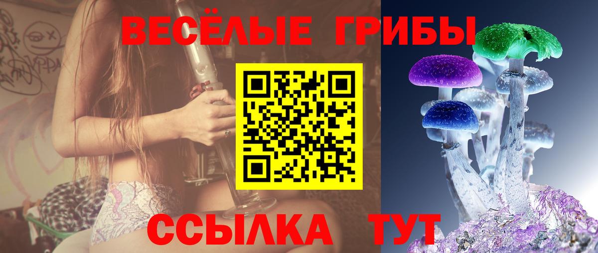 Псилоцибиновые грибы GOLDEN TEACHER  Псилоцибиновые грибы Psilocybine cubensis  Вход с VPN  продажа наркотиков  Туймазы 