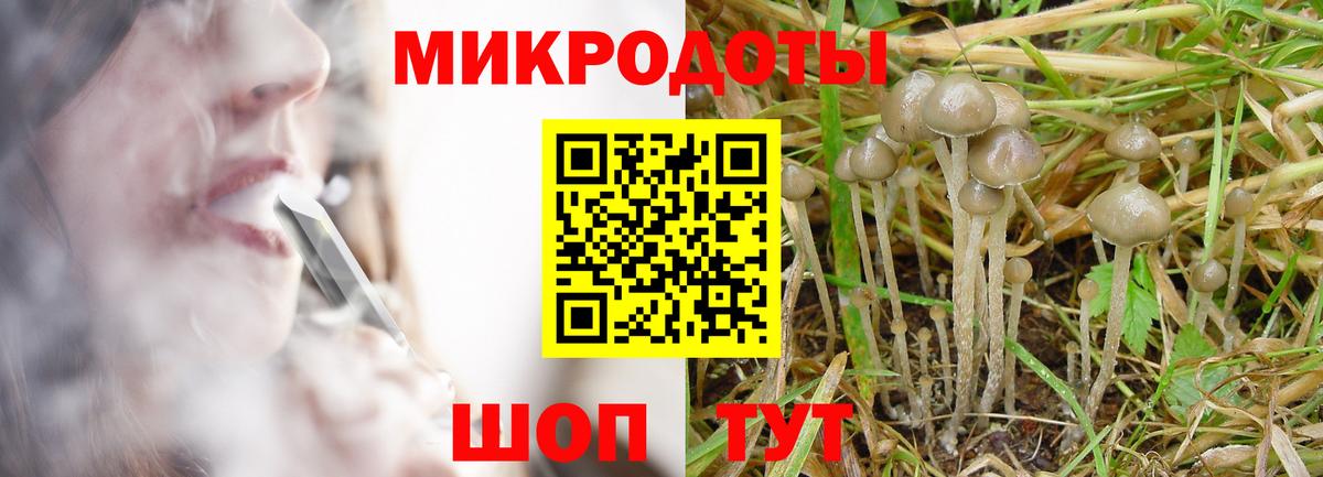 Псилоцибиновые грибы Cubensis Туймазы